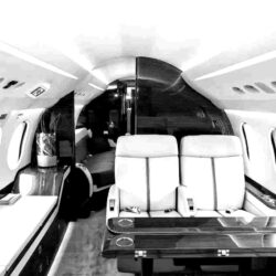 flight-blackwhite flight-blackwhite