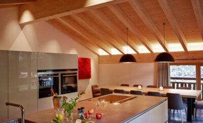 Apartment Panorama (La Vue)