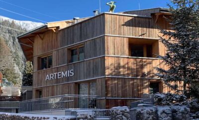 Chalet Artemis