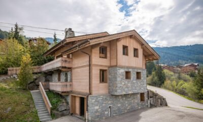Ours des Montagnes